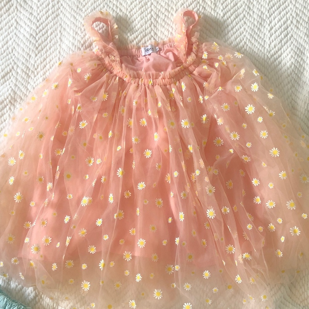 Lola + The Boys Peach Tulle Beautiful Dress